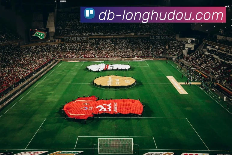 龙虎斗品牌故事