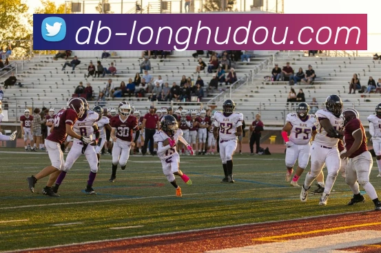 龙虎斗服务体系